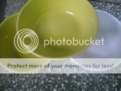 Chuột Hamster, nhím Hedgehogs, chuột nhảy Gerbil, chó Taken Pug...