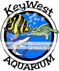 photo Key West Aquarium_zpswiuipfch.jpg
