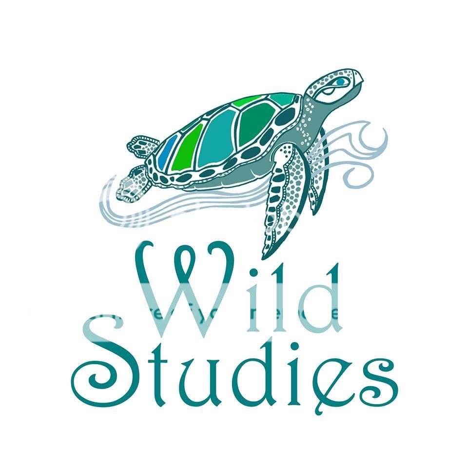 photo Wild Studies logo_zpskroudu6x.jpg