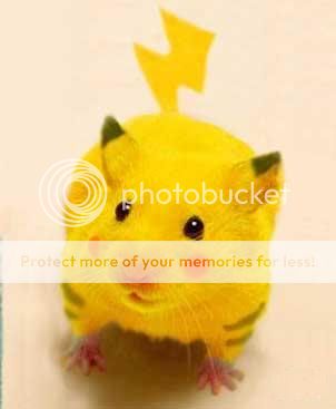 User submitted image