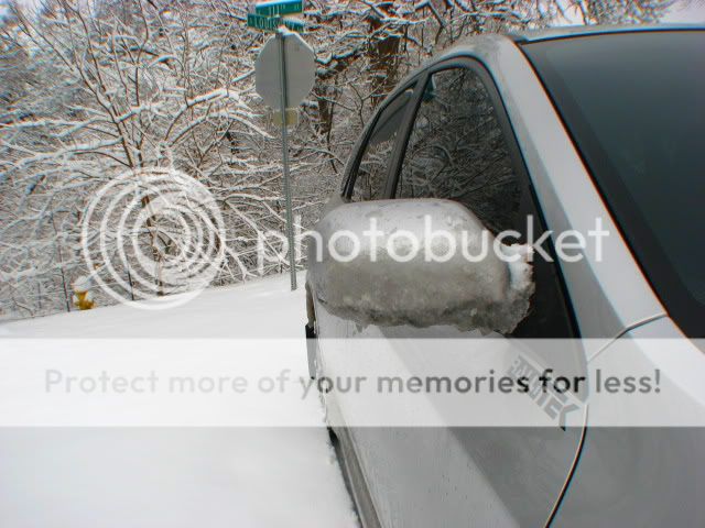 IMG_0810.jpg picture by kalssubaru