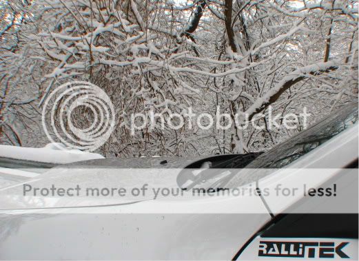 IMG_0812.jpg picture by kalssubaru
