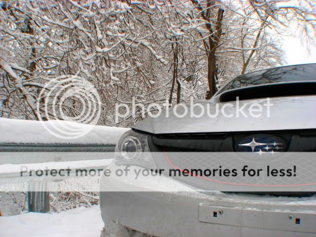 IMG_0813.jpg picture by kalssubaru
