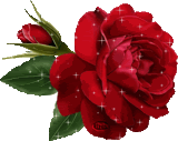 glitter flower photo: Glitter Flower Glitterflower.gif