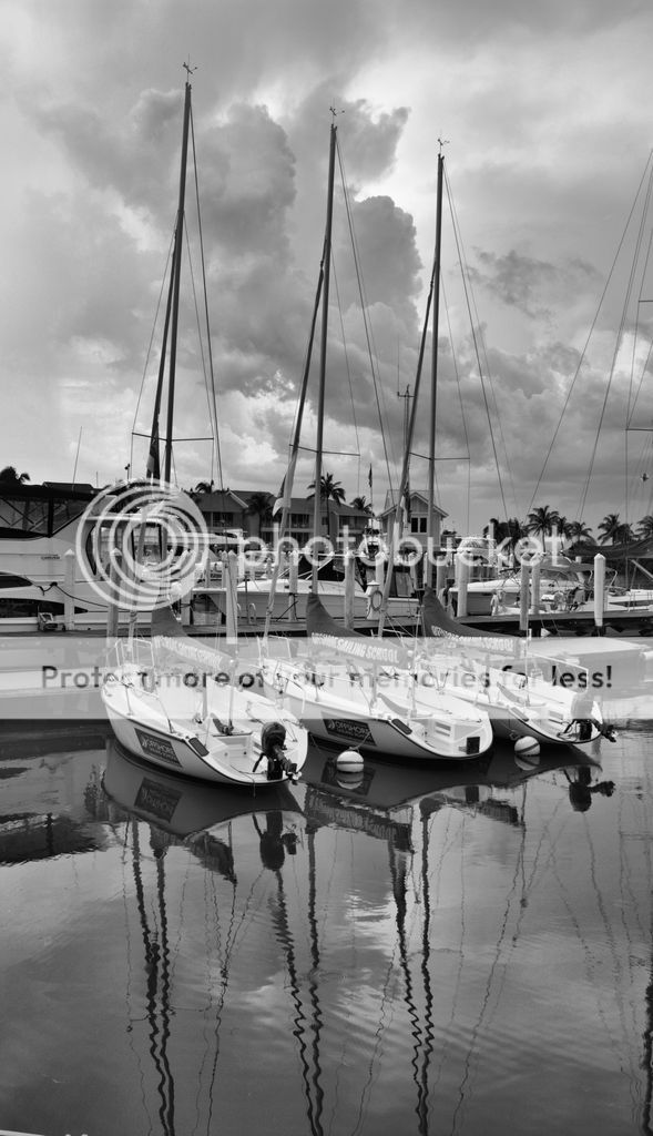 http://i694.photobucket.com/albums/vv306/dunflyphoto/3boatBW.jpg